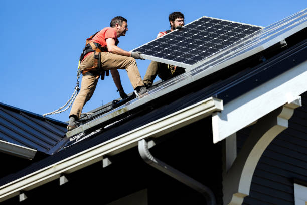 Best Roof Moss and Algae Removal  in Leisuretowne, NJ