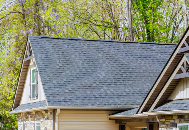 Best Rubber Roofing (EPDM, TPO)  in Leisuretowne, NJ